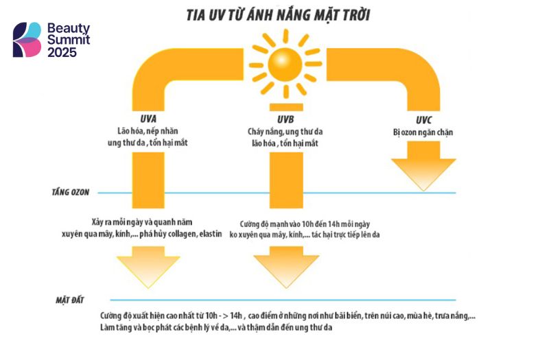 Kem chống nắng bảo vệ da trước tác động của tia cực tím từ mặt trời Kem chống nắng bảo vệ da trước tác động của tia cực tím từ mặt trời