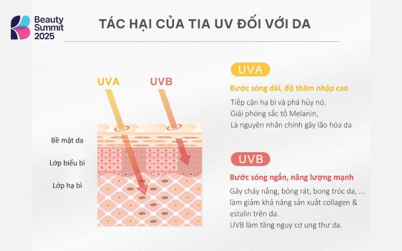 Phân loại tia UV Phân loại tia UV