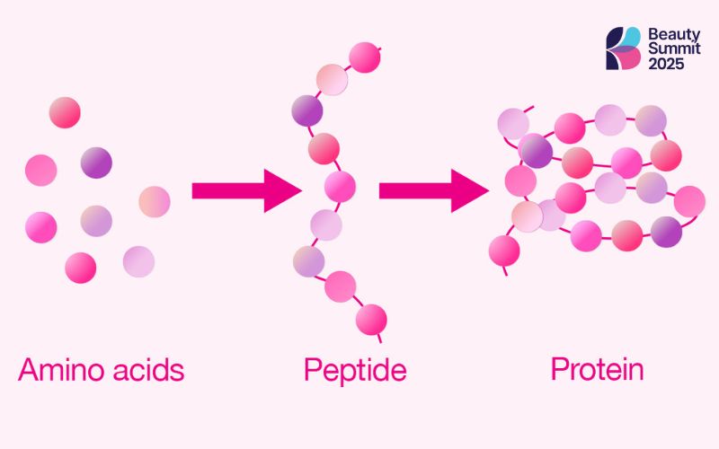 Peptide là chuỗi các axit amin Peptide là chuỗi các axit amin