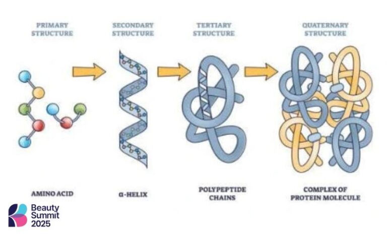 Polypeptide là gì? Tìm hiểu về thành phần thường thấy trong mỹ phẩm 